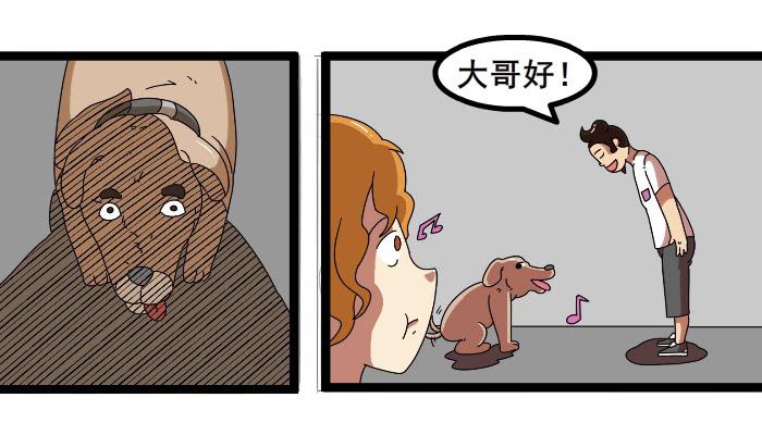 《撸胖与段子哥日常》嫂子 第5页