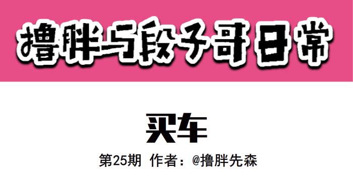 《撸胖与段子哥日常》买车 第1页