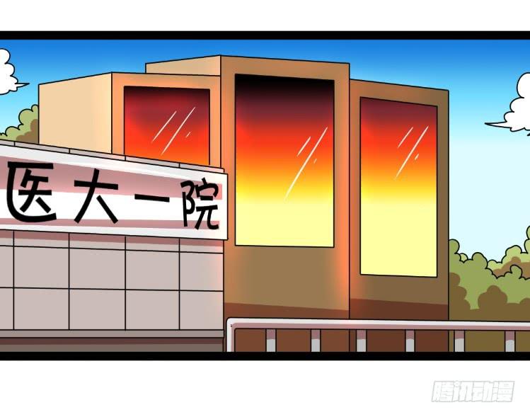 《撸胖与段子哥日常》探病 第2页