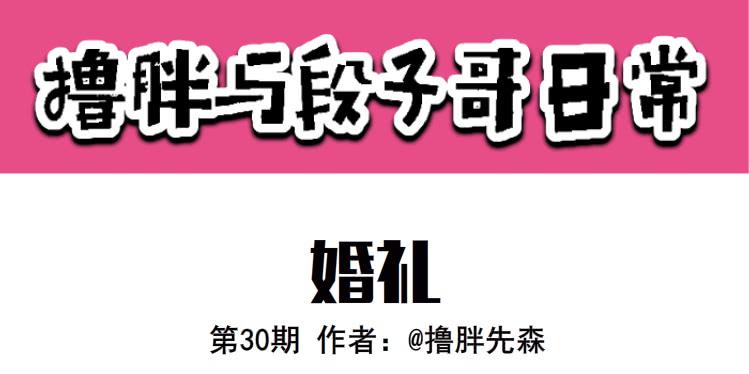 《撸胖与段子哥日常》婚礼 第1页