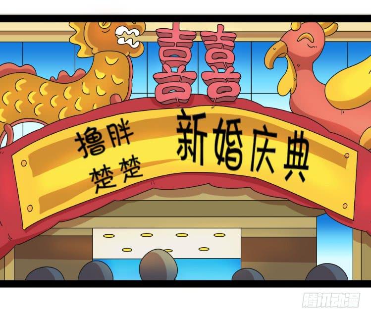 《撸胖与段子哥日常》婚礼 第2页
