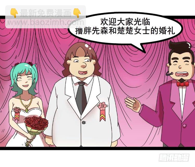 《撸胖与段子哥日常》婚礼 第3页