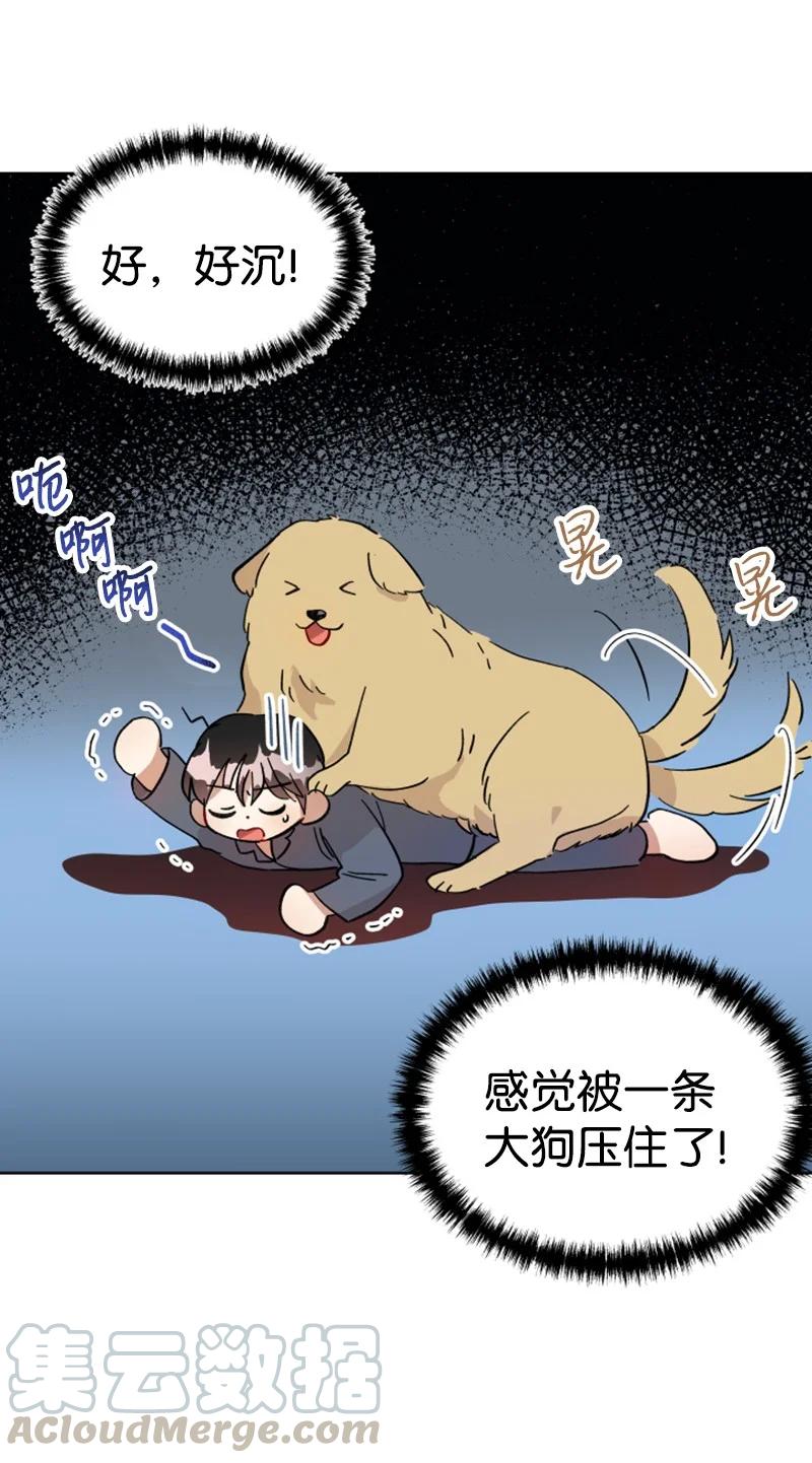 《你的真意》04 新搬来的邻居 第16页