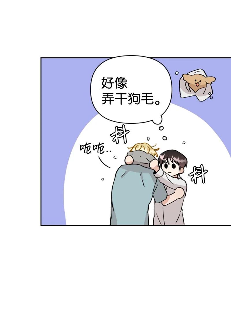 《你的真意》09 真情告白 第42页