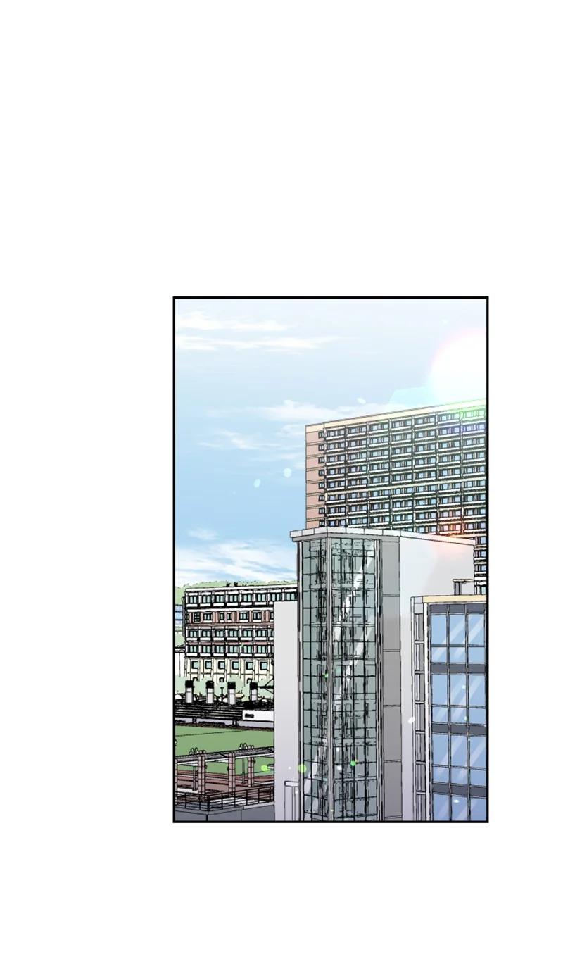 《你的真意》20 正面冲突 第33页