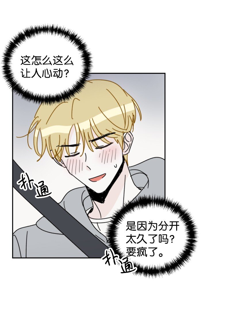 《你的真意》29 后记 第34页