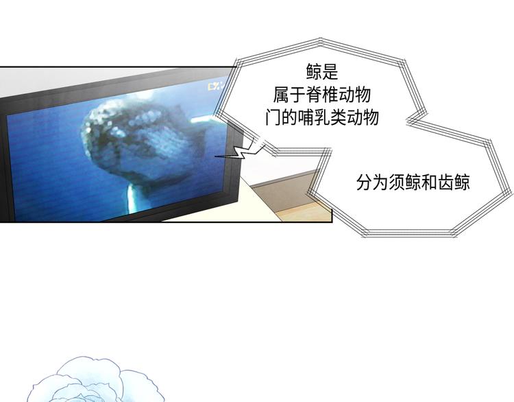 《大海，相遇》第1话 第11页