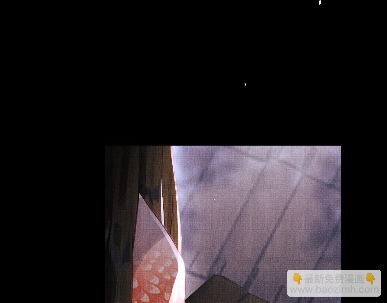 《一窝凤凰》02 凤十六篇夜袭东宫 第28页