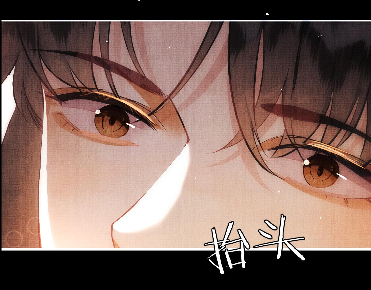 《一窝凤凰》02 凤十六篇夜袭东宫 第37页