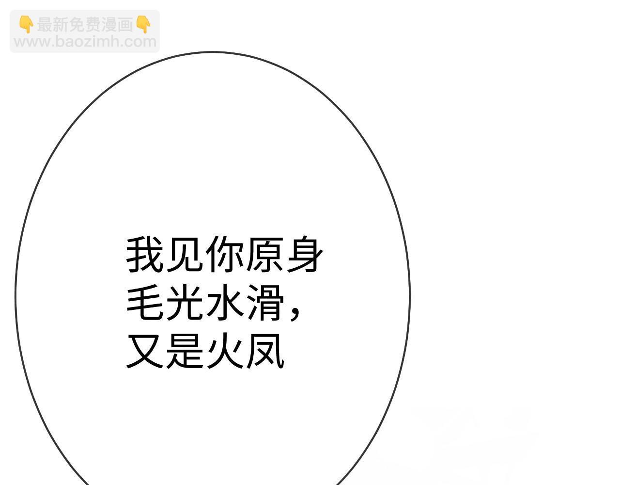 《一窝凤凰》06 凤十六篇有本事噼死我 第4页