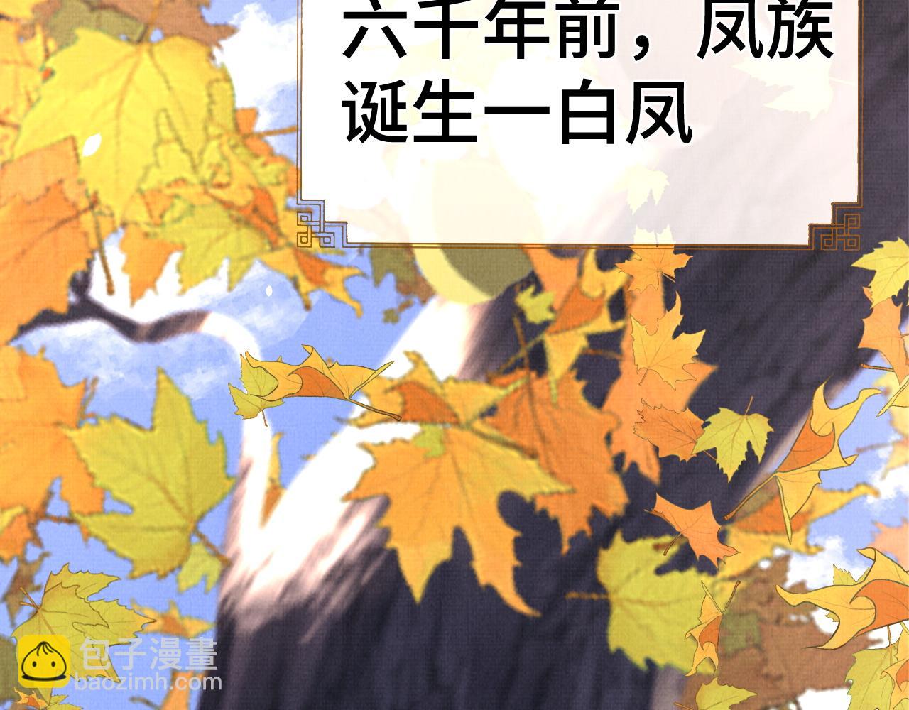 《一窝凤凰》13 凤栖篇初遇 第5页