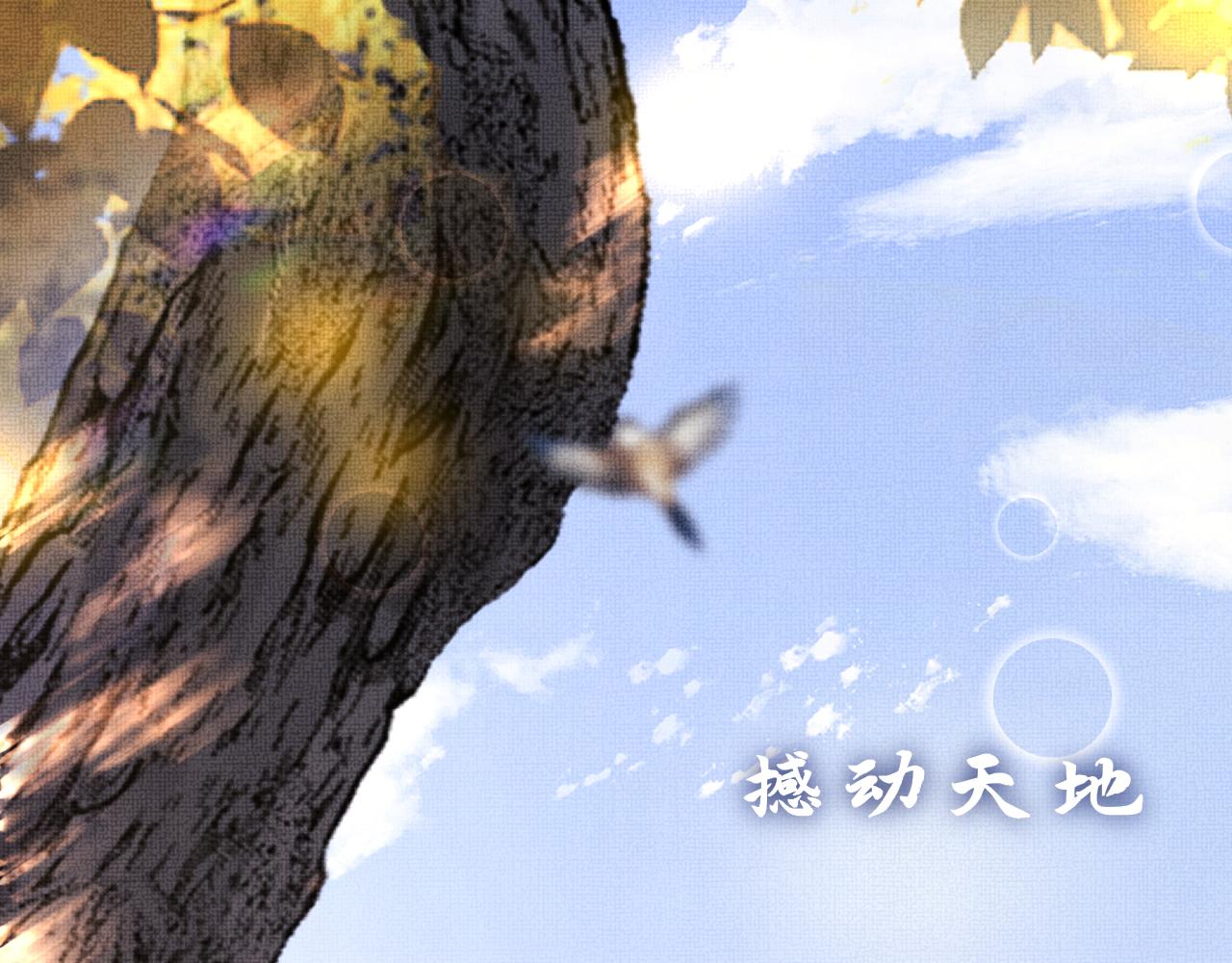 《一窝凤凰》19 凤栖篇凤鸣九皋 第11页