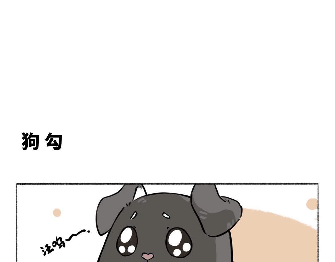 《一窝凤凰》凤十六凤栖篇小剧场 第41页