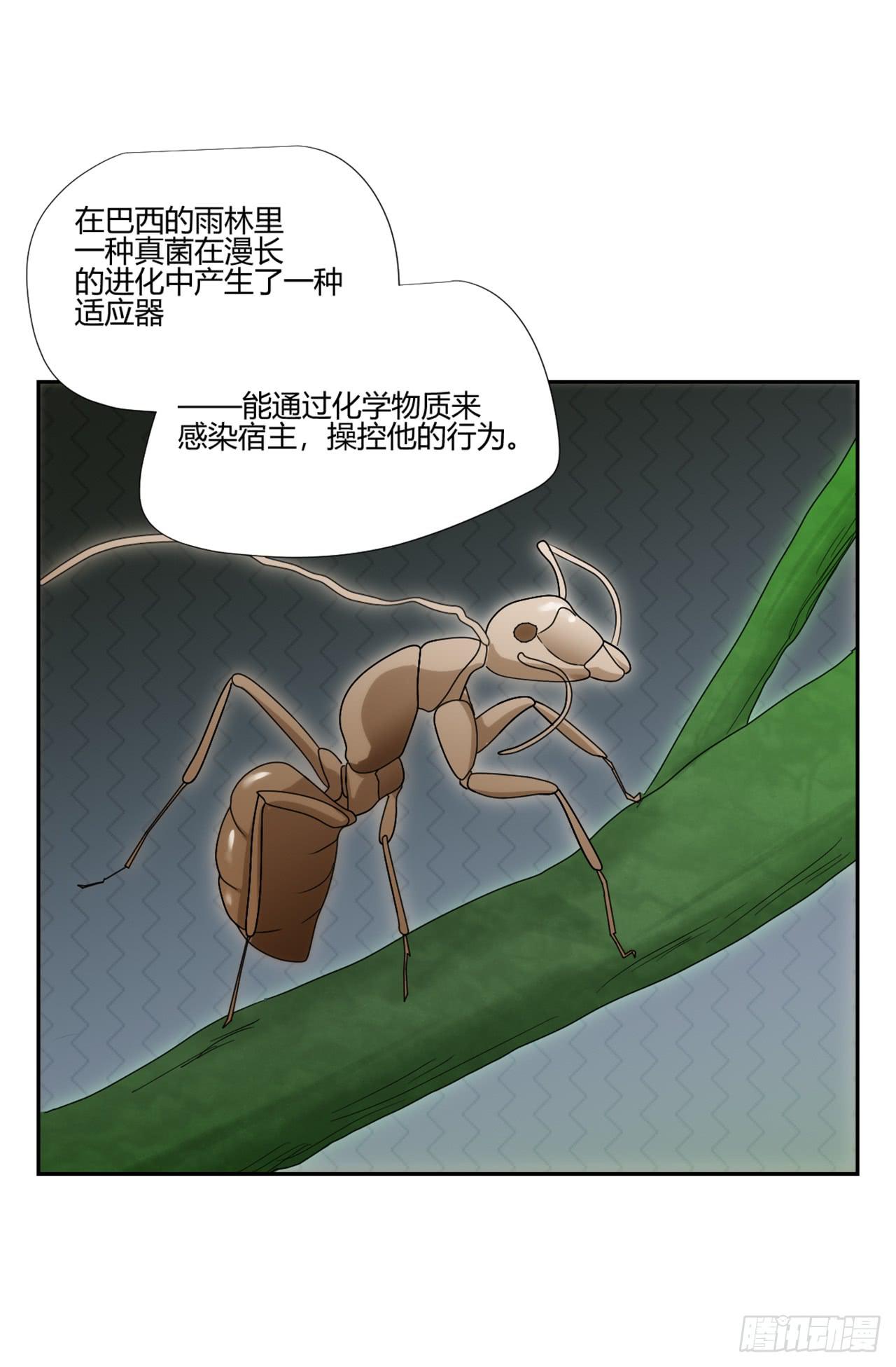 《适应器2》审问 第49页