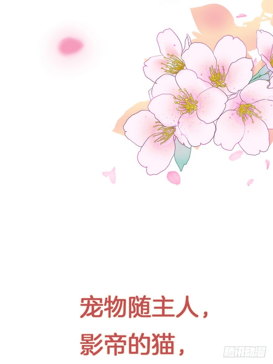 《捡个影帝当饲主》我们是个正经的预告！ 第14页