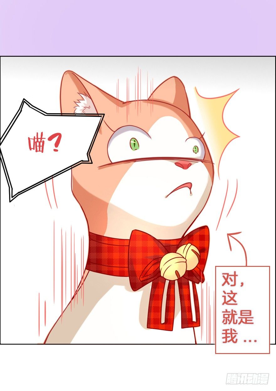 《捡个影帝当饲主》我们是个正经的预告！ 第7页