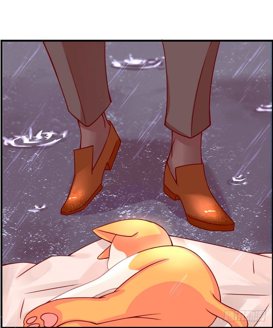 《捡个影帝当饲主》这不是勾引，绝不是！ 第29页