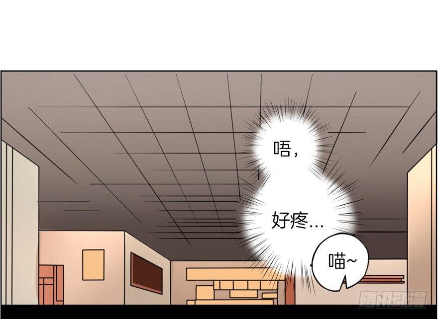 《捡个影帝当饲主》这不是勾引，绝不是！ 第41页