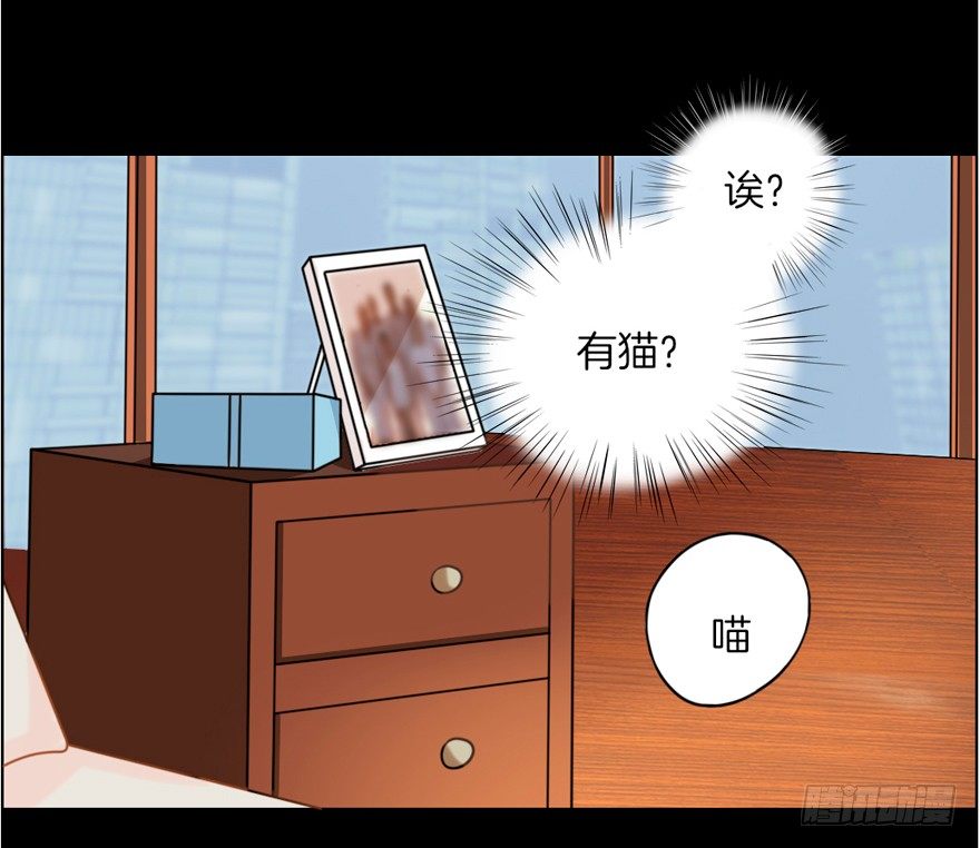 《捡个影帝当饲主》这不是勾引，绝不是！ 第42页
