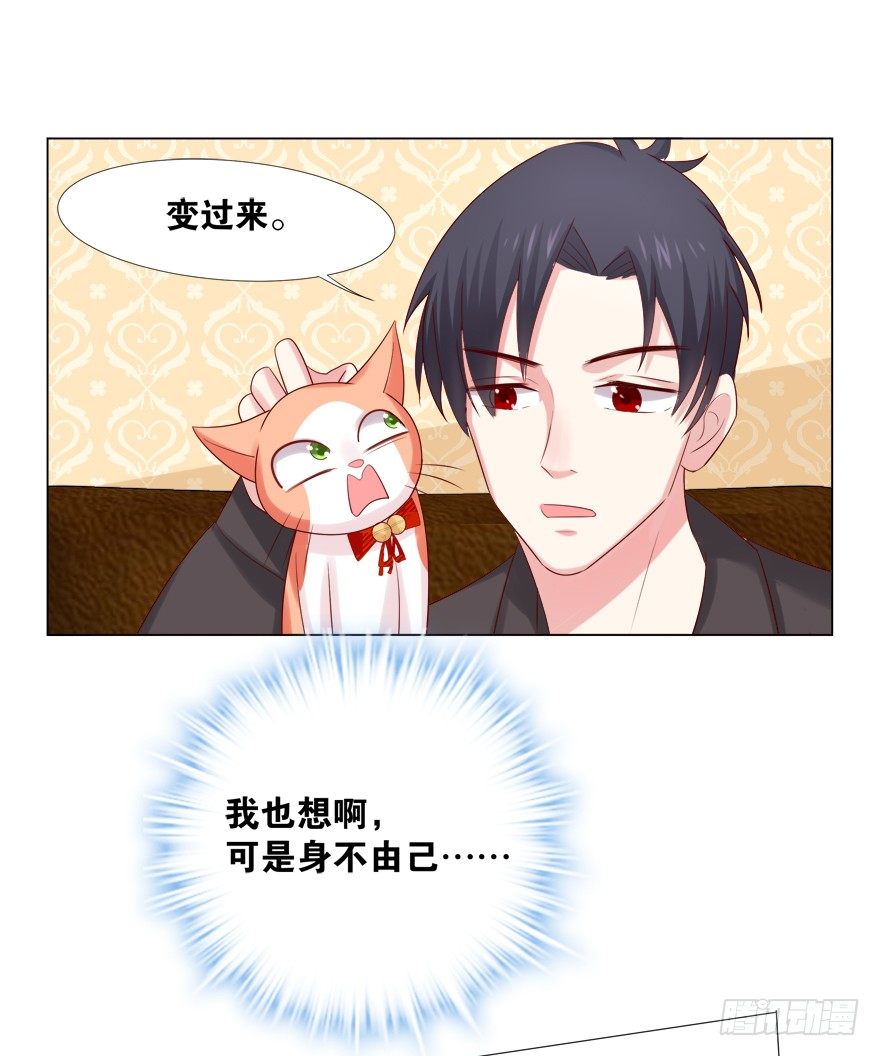 《捡个影帝当饲主》欺软怕硬 第31页