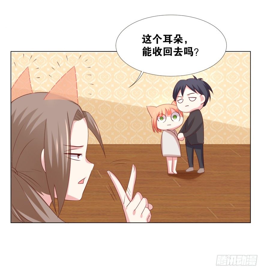 《捡个影帝当饲主》欺软怕硬 第39页