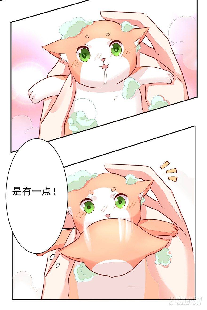 《捡个影帝当饲主》一起洗澡澡 第19页