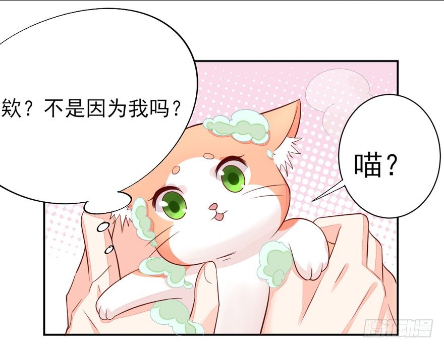 《捡个影帝当饲主》一起洗澡澡 第21页