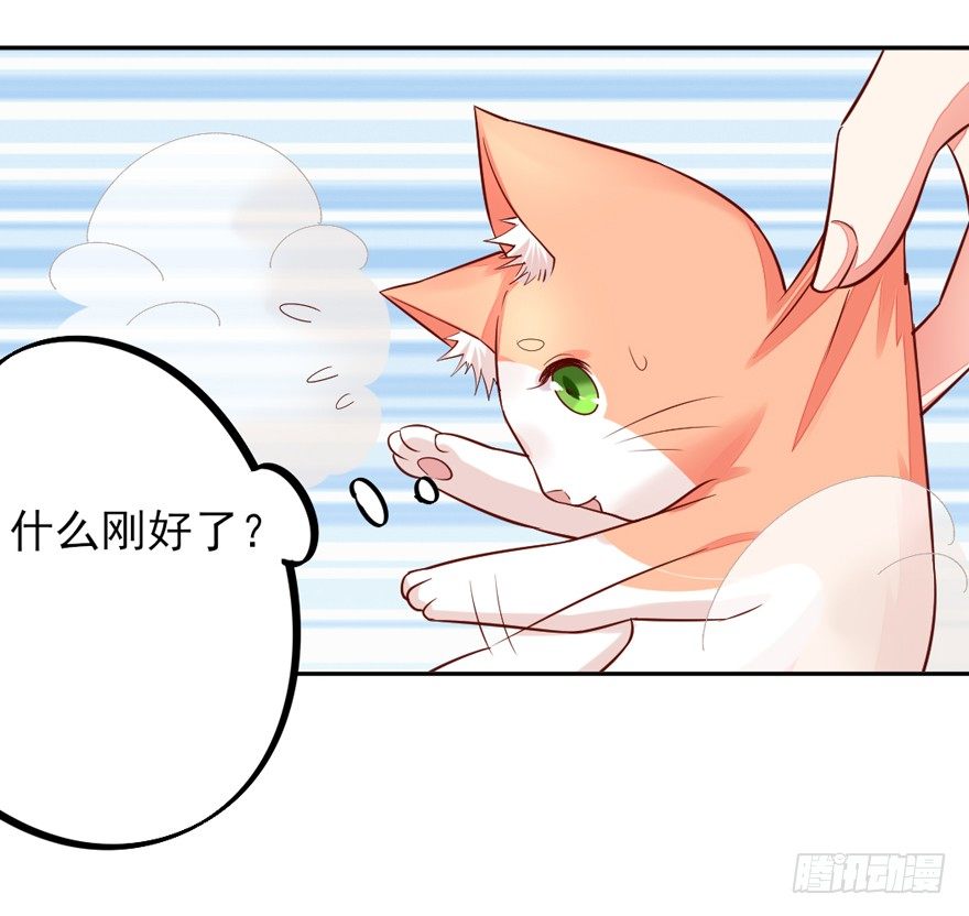 《捡个影帝当饲主》一起洗澡澡 第4页