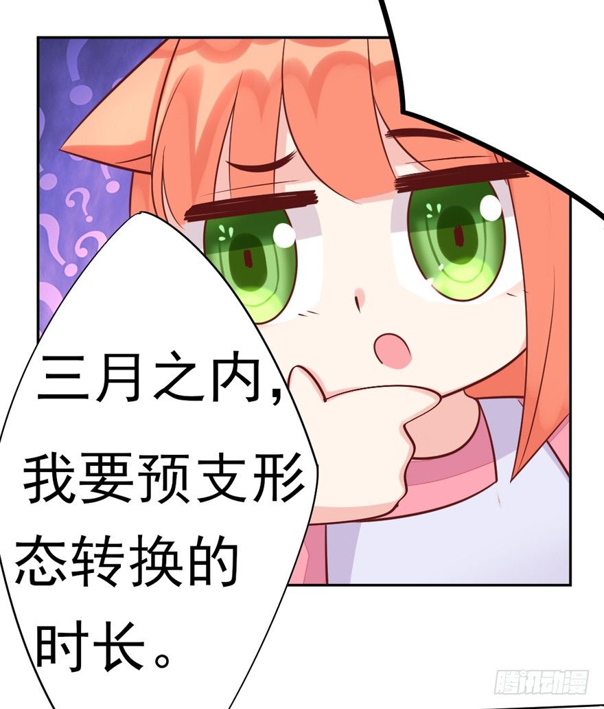 《捡个影帝当饲主》我，我叫蝶儿 第6页