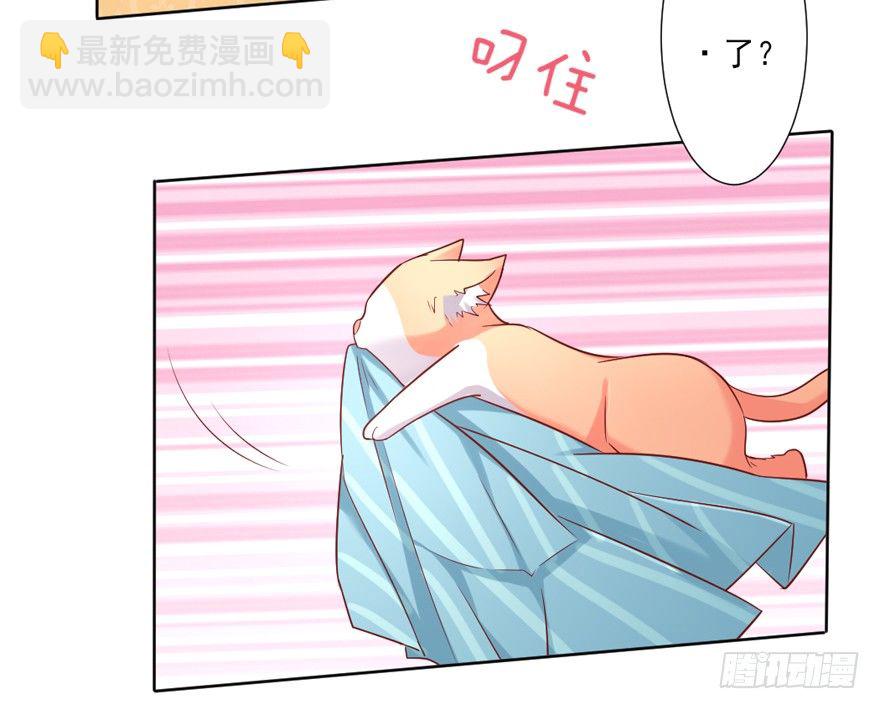 《捡个影帝当饲主》漏洞百出 第5页