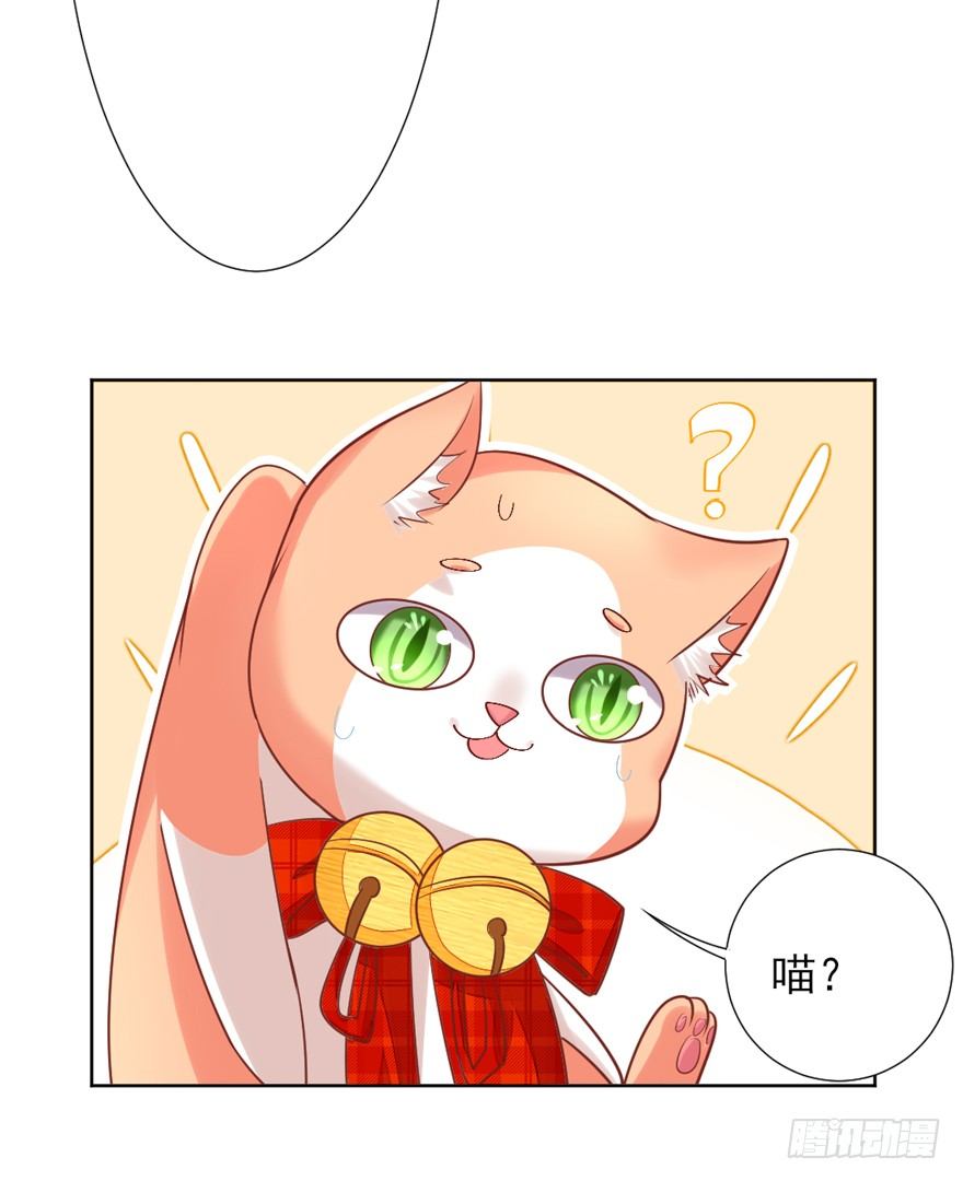 《捡个影帝当饲主》终于来了 第22页