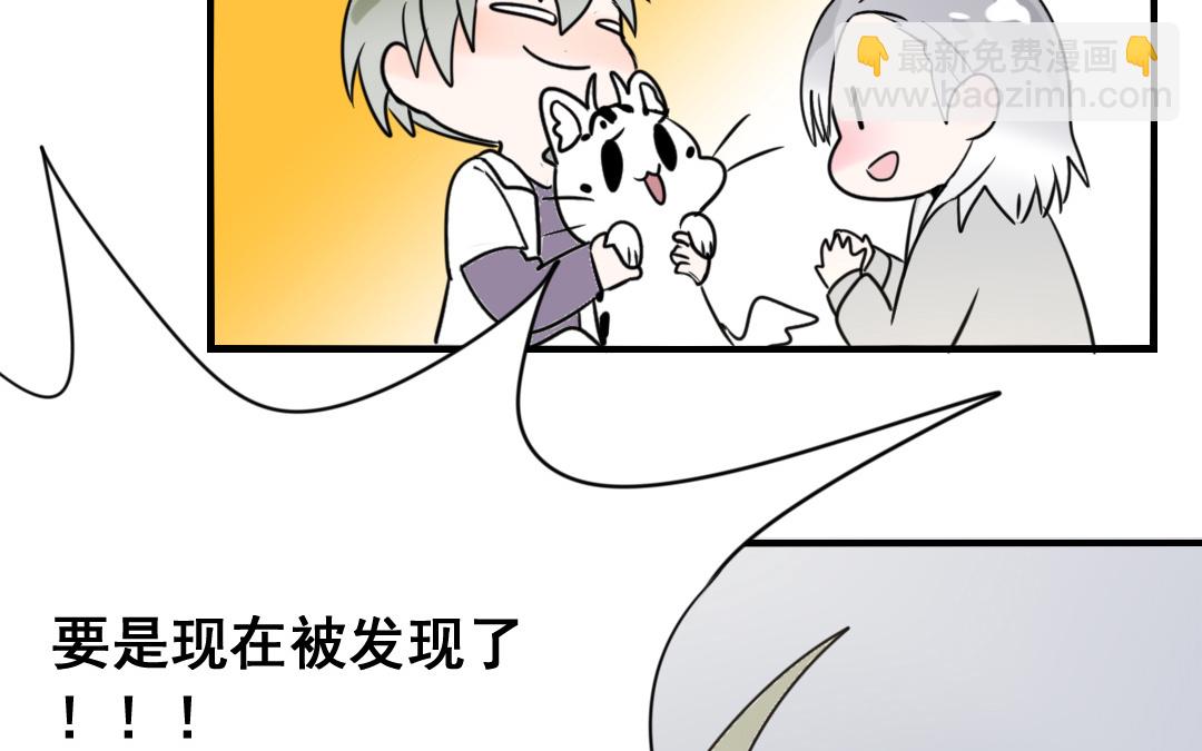 《家有凶兽》第10话 人猫大战 第4页