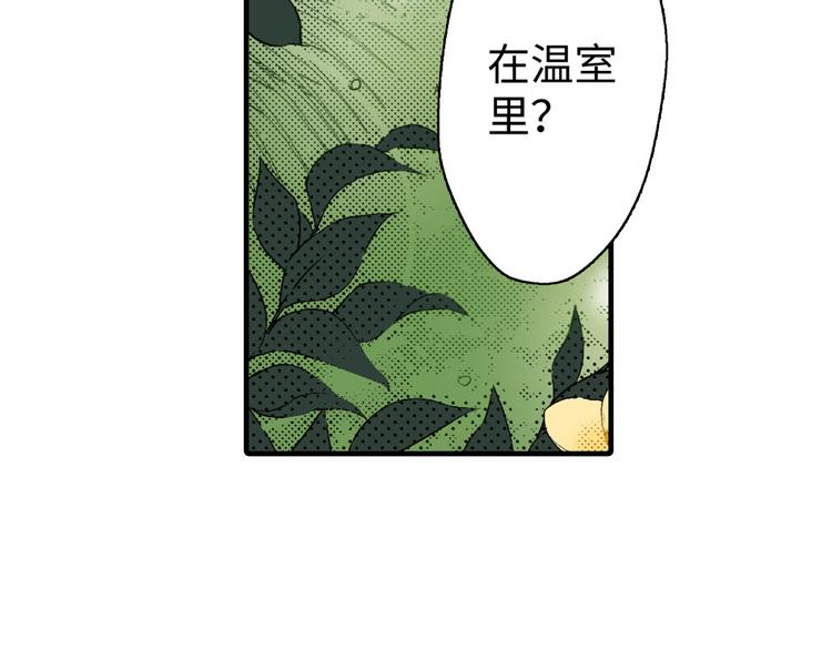 《岛屿贵族》第4话 第28页