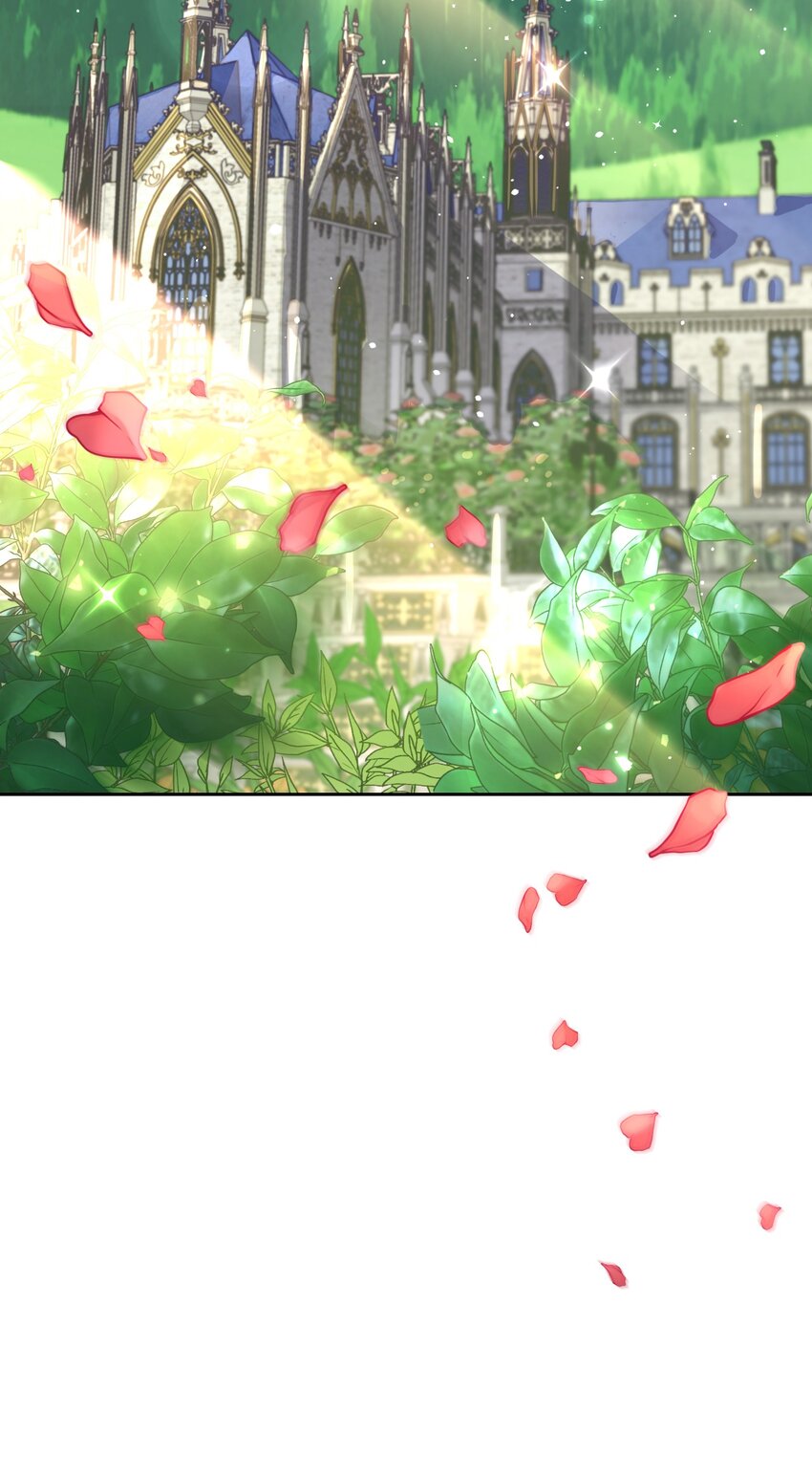 《弄假成真！乞丐成了公爵的夫人》01 鸠占鹊巢的假公爵夫人 第36页