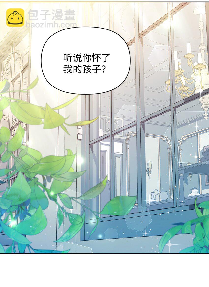 《弄假成真！乞丐成了公爵的夫人》27 爱的结晶 第11页