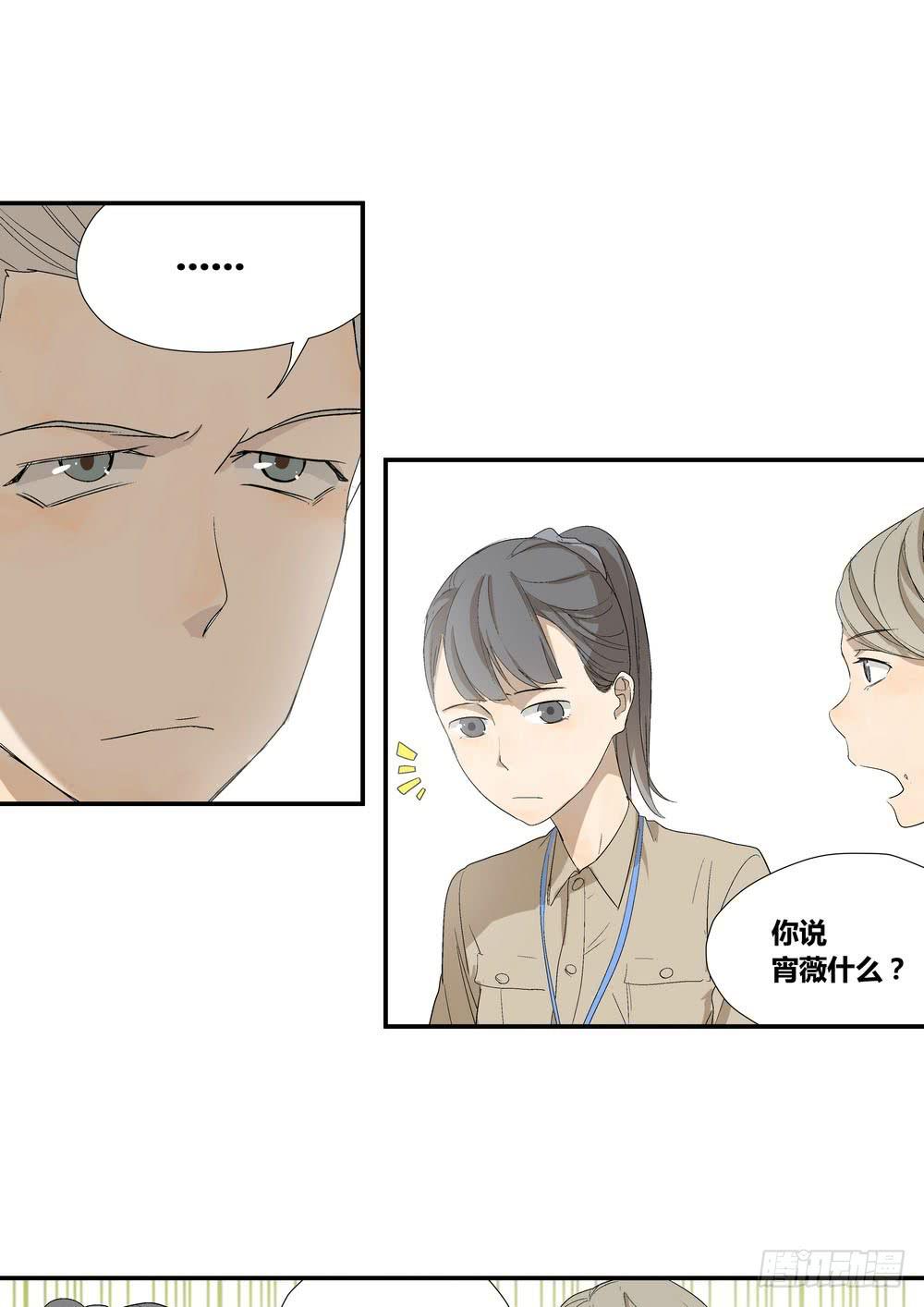 《转折向导》否定 第36页