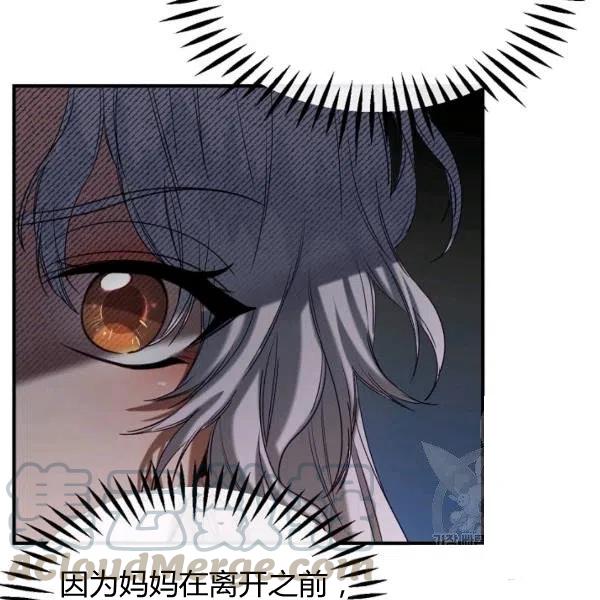 《不要叫雅波特为继姐》第36话 第13页