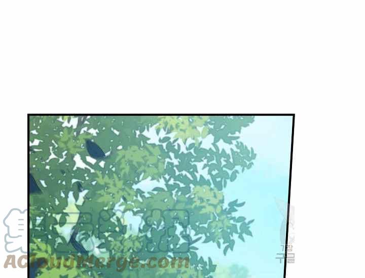 《不要叫雅波特为继姐》第51话 第49页