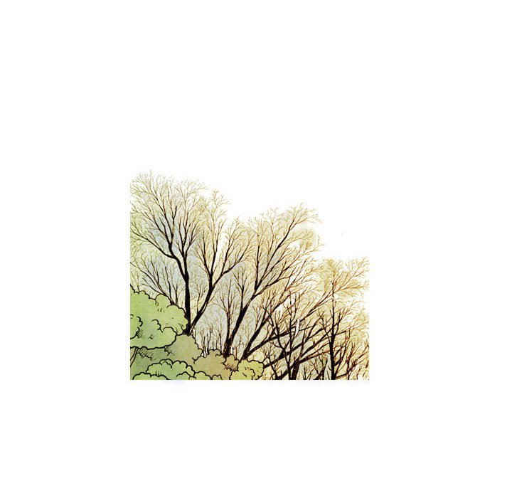 《剑契》43 第46页