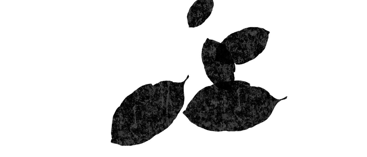 《喜欢你的理由》自己的狭隘世界 第12页