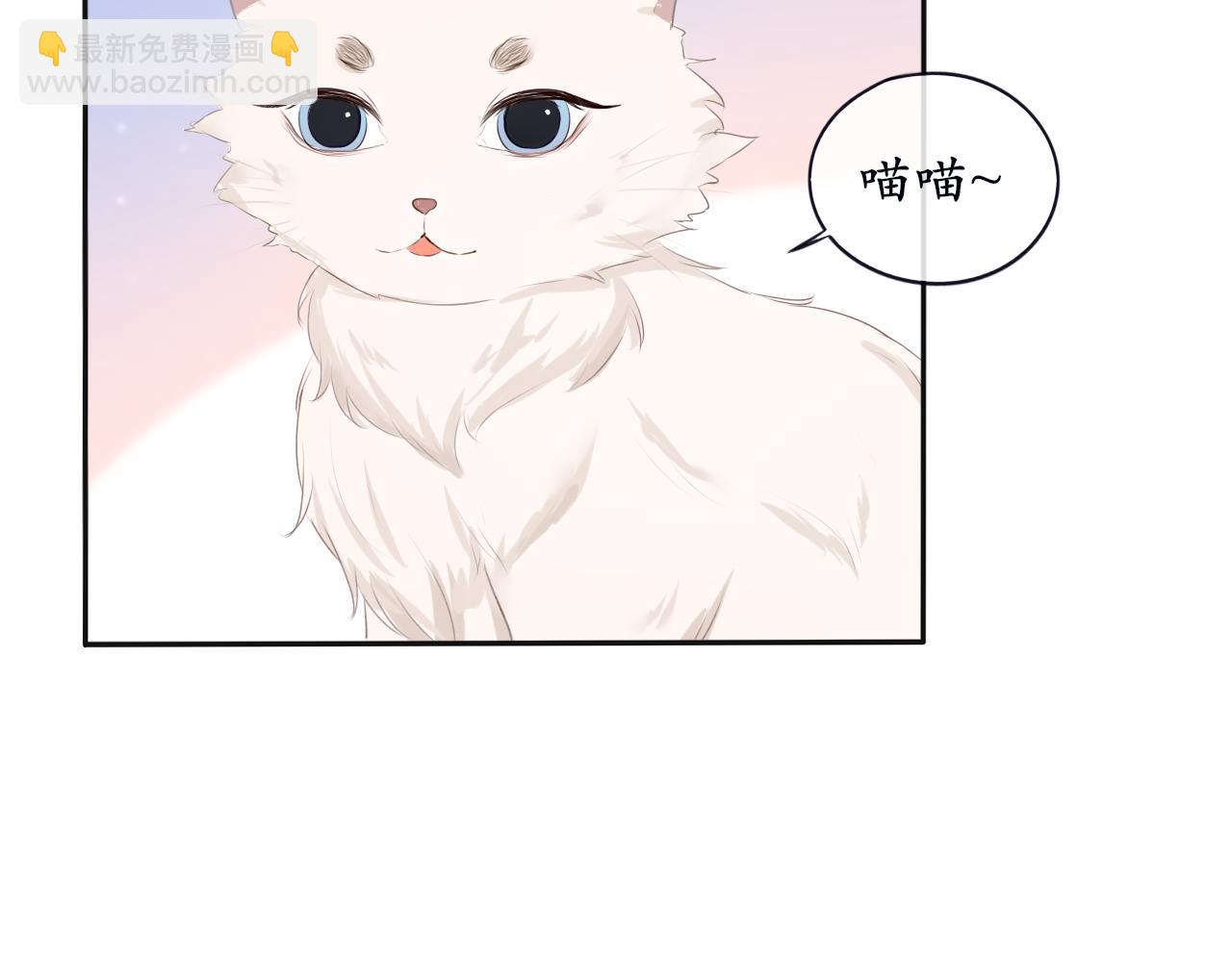 《BOSS竟是我徒儿》第7话 喵咪师尊 第11页