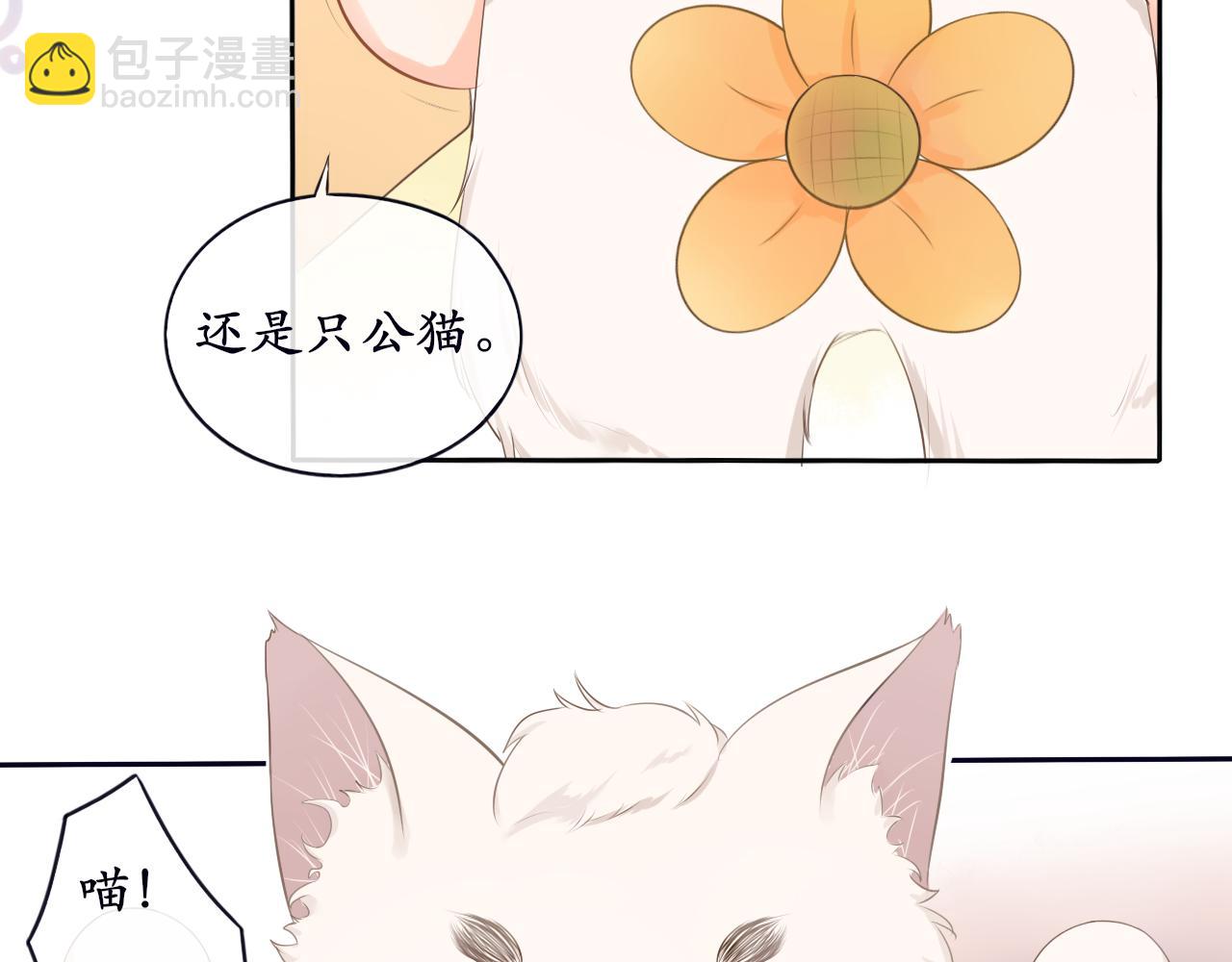 《BOSS竟是我徒儿》第7话 喵咪师尊 第17页