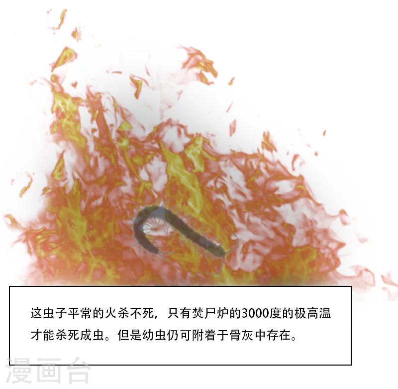 《总裁的逆天狂妻》第18话 火化 第10页