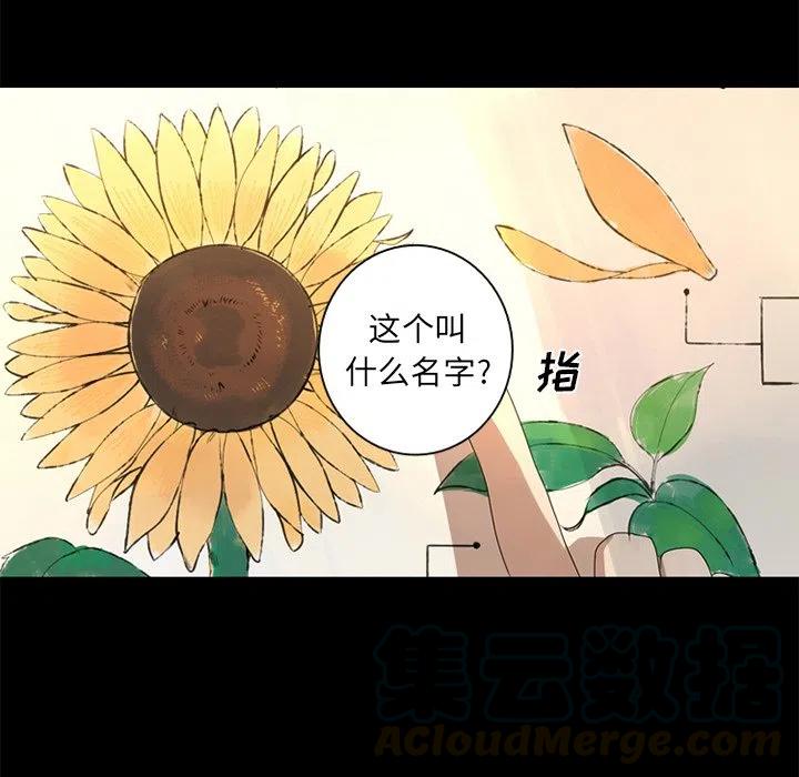 《难忘的她》7 第49页