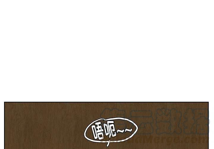 《虎伴日月神》15 第4页