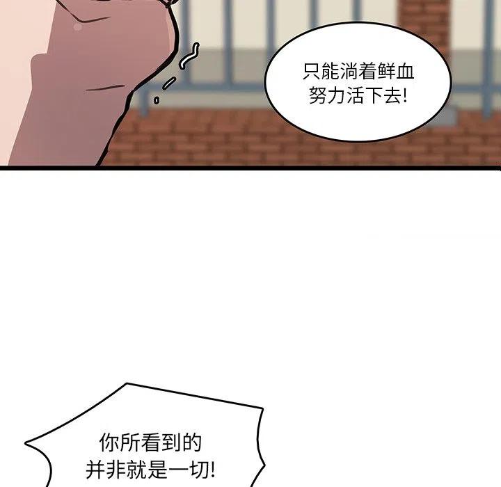 《虎伴日月神》48 第33页