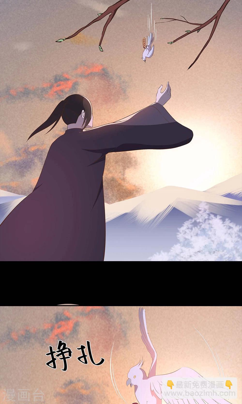 《师兄总是要开花》第48话 第13页
