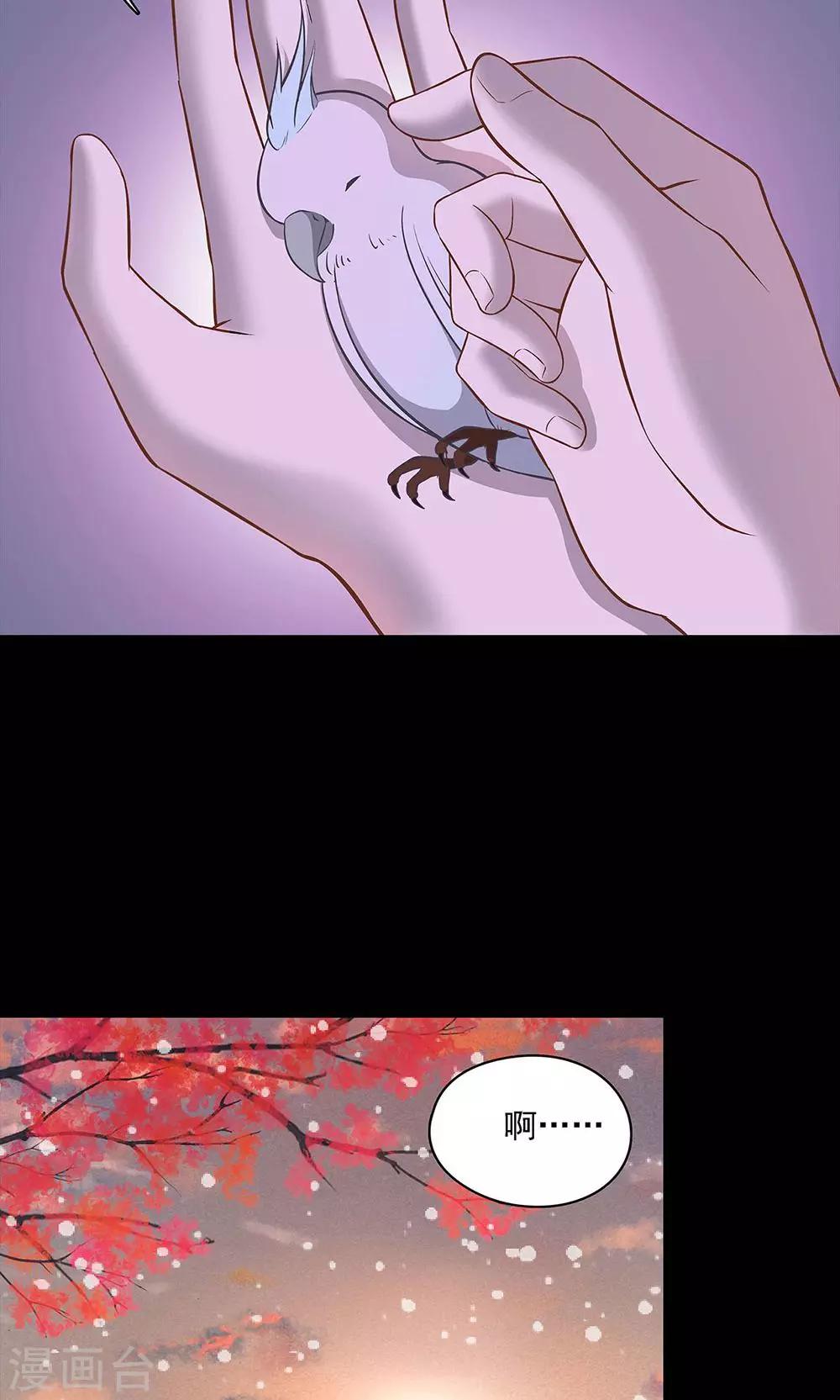 《师兄总是要开花》第49话 第12页