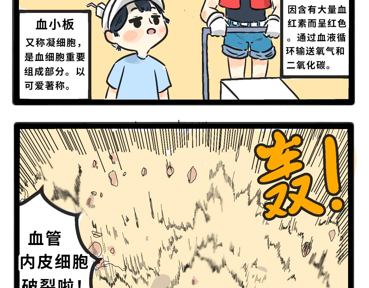 《仙境之桥》Vol.6 第14页
