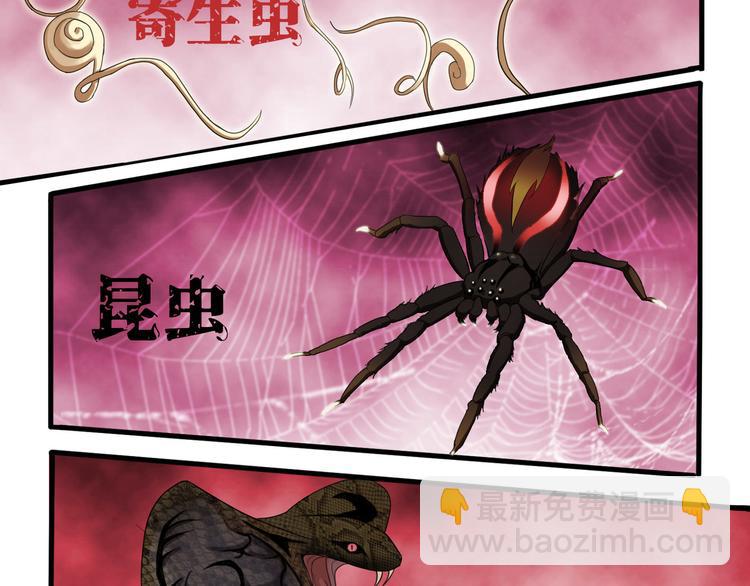 《小姐姐千万别惹我》序章 第2页